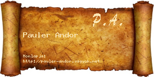 Pauler Andor névjegykártya