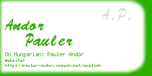 andor pauler business card